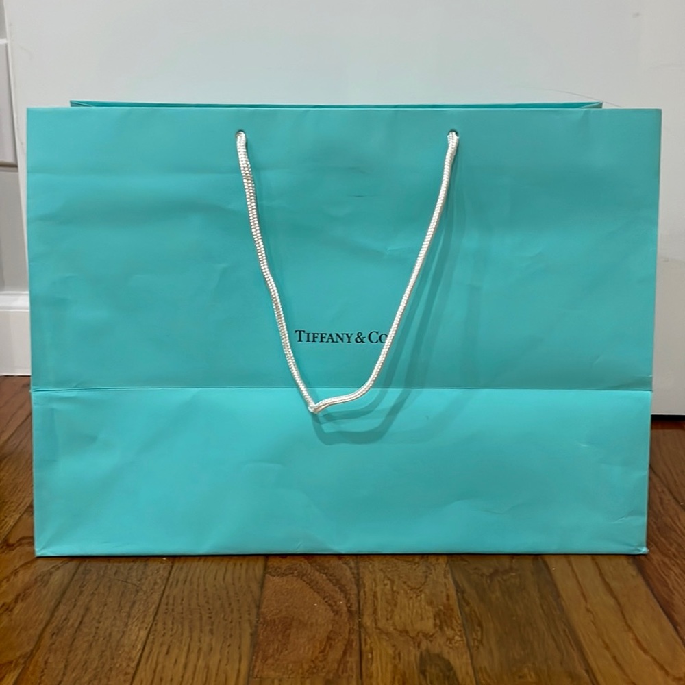 Tiffany & Co. Gift Bag